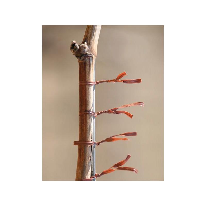 PELLENC STANDARD-Band 200m zu AP25/FIXION