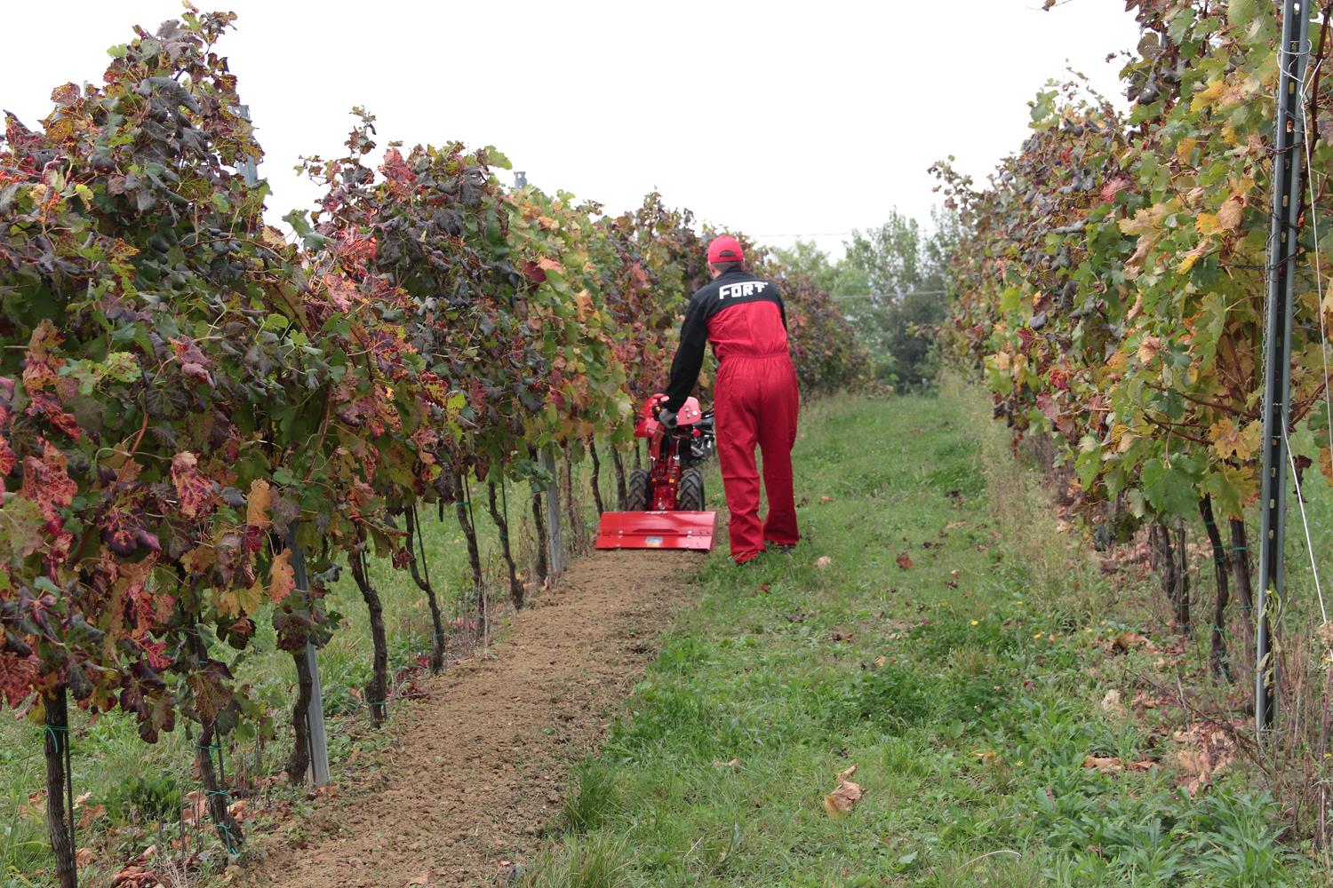 FORT Einachser Grundgerät Serie 280, Honda GX200 4.3kW