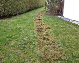 Scarificateur et Balai désherbage