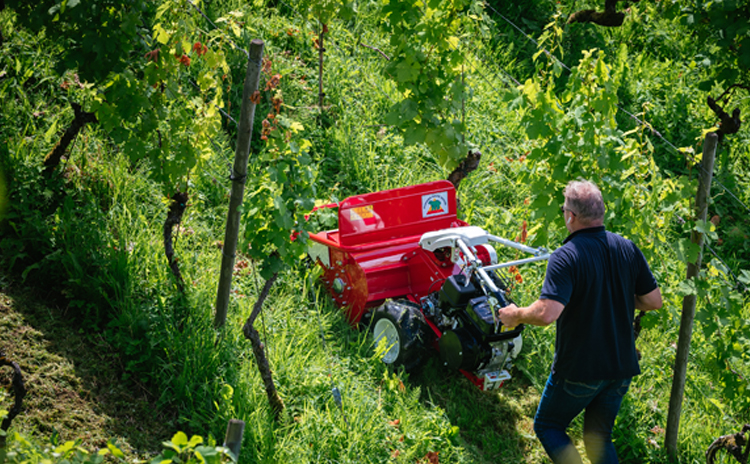 Épareuse à fléaux