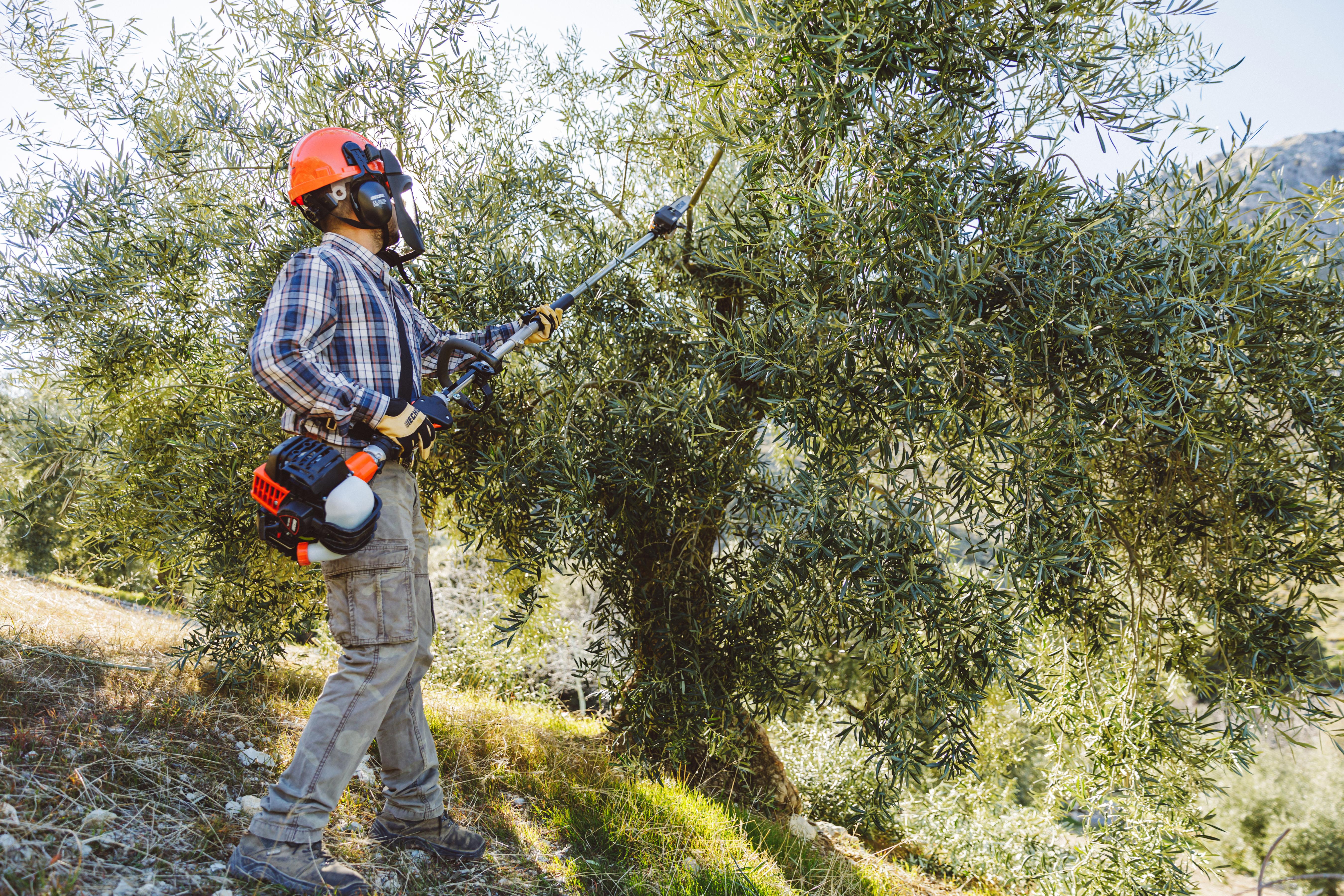 ECHO MTA-PP/E Accouplement tronçonneuse pour machine combinée