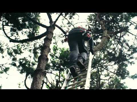 ECHO CS-2511TES Tronçonneuse 25 cm³ ULTRA LIGHT avec guide 25cm