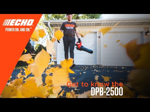ECHO DPB-2500 Souffleur à batterie 50.4V