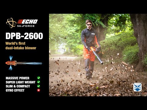 ECHO DPB-2600 Souffleur à batterie 50.4V
