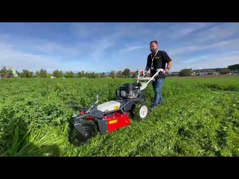 OREC SR600 Sichelmäher 60cm, Kohler CV224