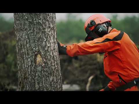 ECHO Tronçonneuse 42,9cm³ sans épée