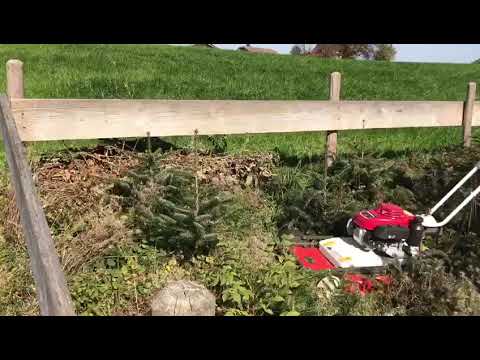 OREC FL500 Tondeuse rotative 50cm, Honda GXV160