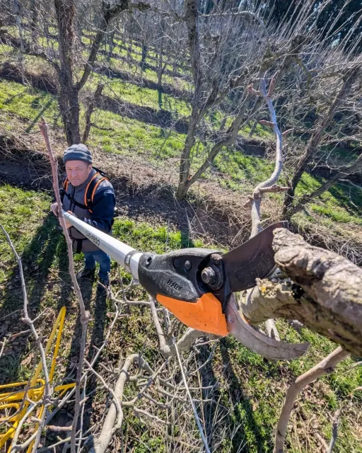 30037f28651b924eae8c2f8ebfc3352c